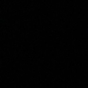 Meet your Posher, Shane